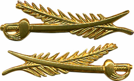 OFICIAL INGENIERO POLITÉCNICO MILITAR