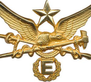 INSTRUCTOR MILITAR DE MONTAÑA NIVEL ESPECIALIZADO