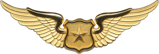 PILOTO EJERCITO