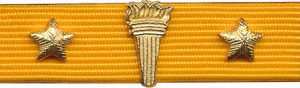 INTELIGENCIA MILITAR ESPECIALIZADO