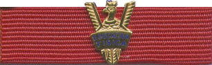 INSTRUCTOR MILITAR DE EDUCACIÓN FÍSICA